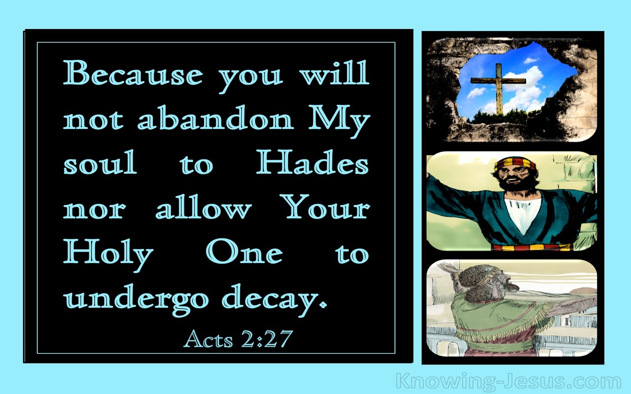 Acts 2:27 You Will Not Abandon My Soul To Hades (aqua)